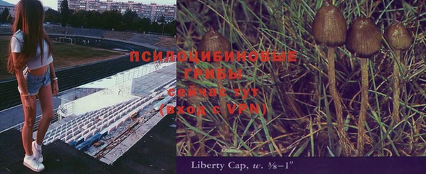 mdpv Нефтекумск