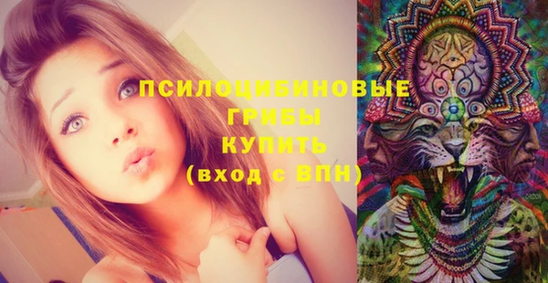 круглые Вяземский
