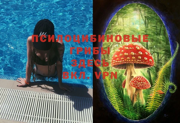 mdpv Нефтекумск