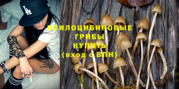 соль курить ск Нея