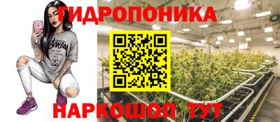 крисы Конаково