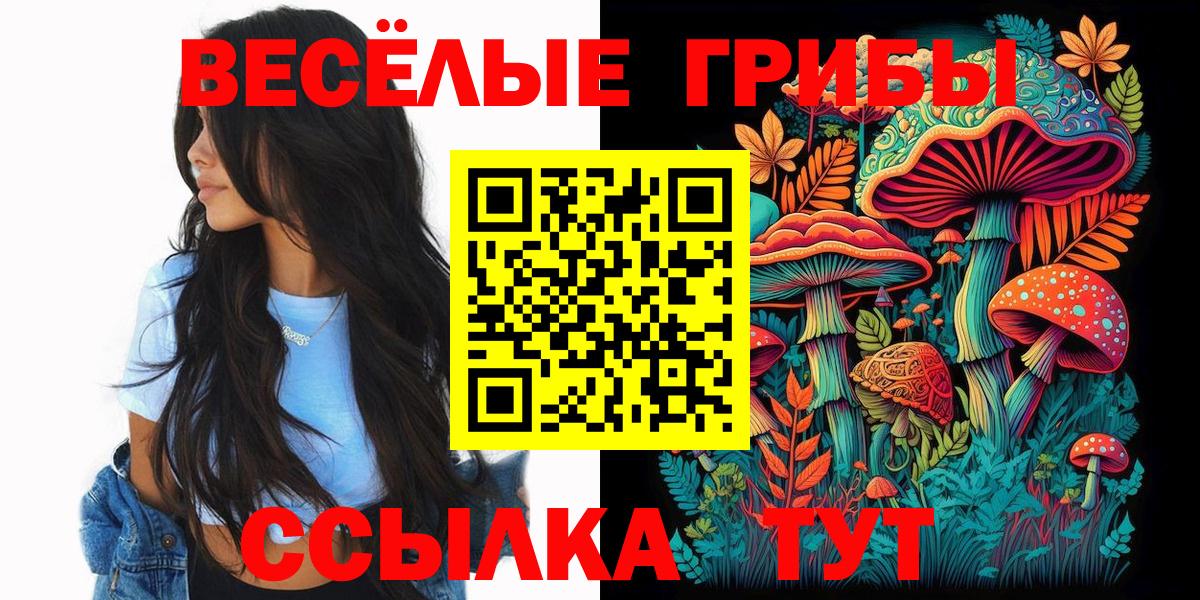 Осинники  Псилоцибиновые грибы Psilocybine cubensis  Вход с VPN 