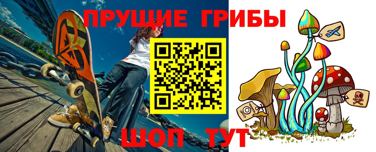 Псилоцибиновые грибы GOLDEN TEACHER Осинники